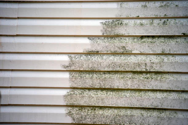 Best Mattress Disposal  in Paulding, OH
