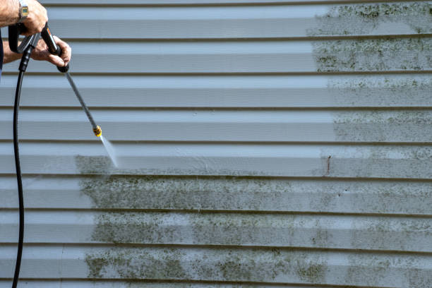 Best Yard Waste Removal  in Paulding, OH