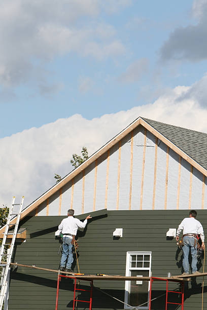 Best Same-Day Junk Removal Services  in Paulding, OH